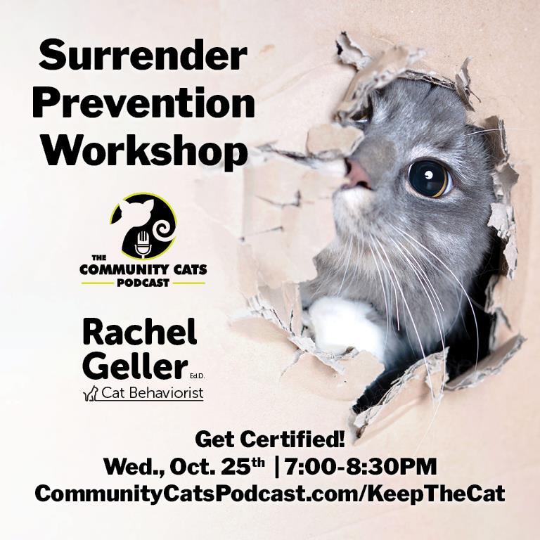 Surrender Prevention Workshop Flyer